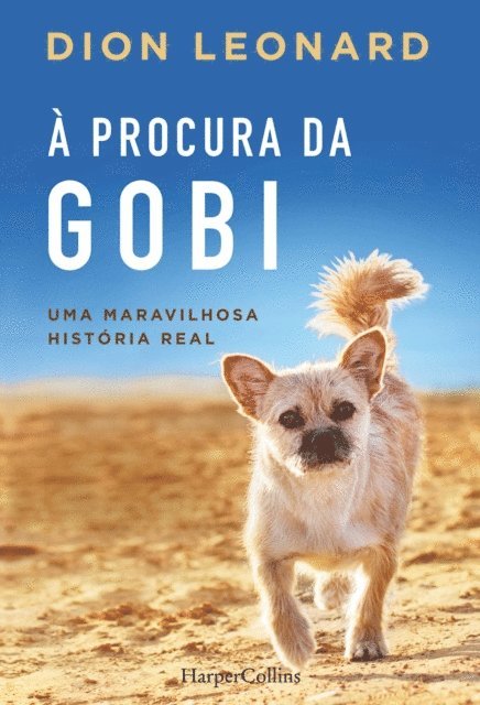 Dion Leonard - À procura da gobi, E-bok