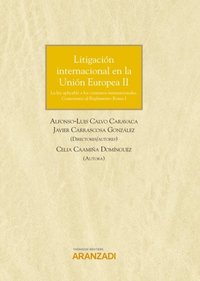Litigación internacional en la Unión Europea II