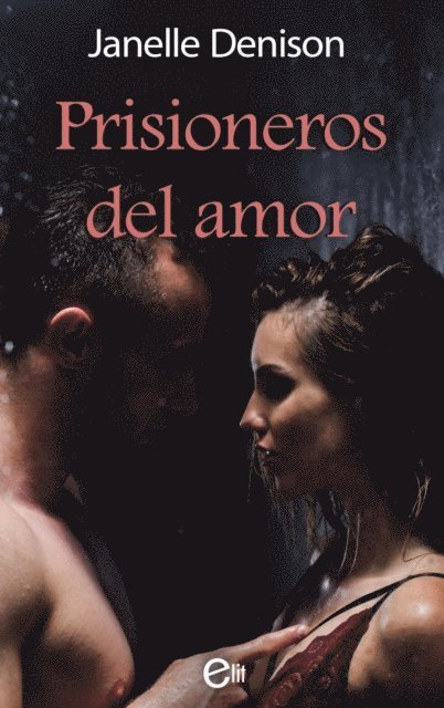 Janelle Denison - Prisioneros del amor, E-bok