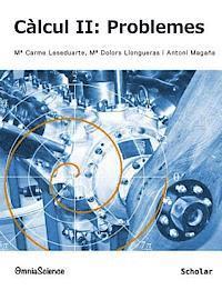 M. Dolors Llongueras, Antoni Magana - Càlcul II: Problemes, Häftad