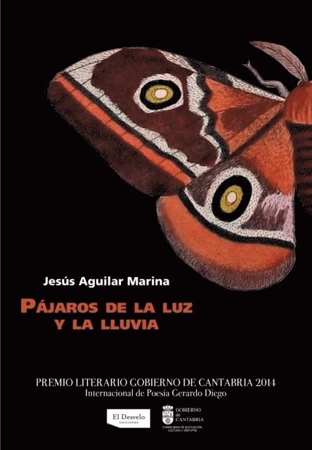 Jesus Aguilar Marina, Javier Fernandez Rubio - Pájaros de la luz y la lluvia, E-bok