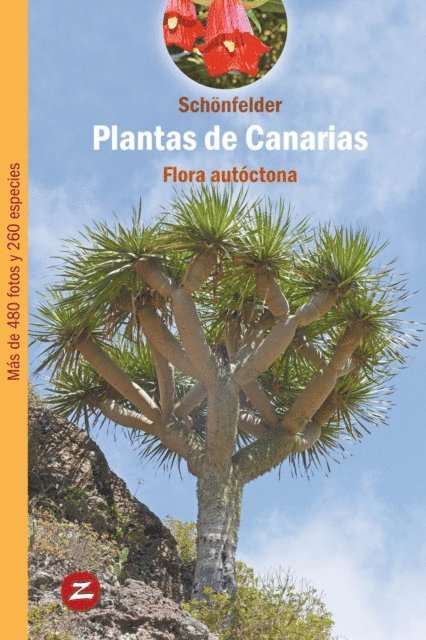 Ingrid Schonfelder, Peter Schonfelder - Plantas de Canarias, E-bok