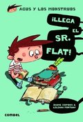 Llega El Sr. Flat!