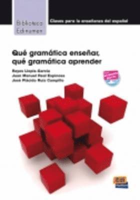 Reyes Llopis-García, Juan Manuel Real Espinosa - Que Gramatica Ensenar, Häftad