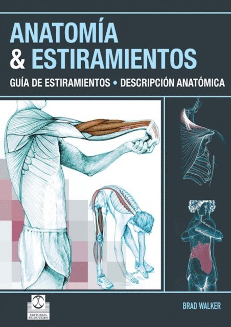 Brad Walker - Anatomía & Estiramientos, E-bok
