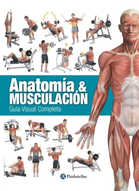 Ricardo Canovas Linares - Anatomía & Musculación, E-bok. Tillgänglighet: Lägg i varukorg