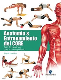 AnatomÃ¿a y entrenamiento del core