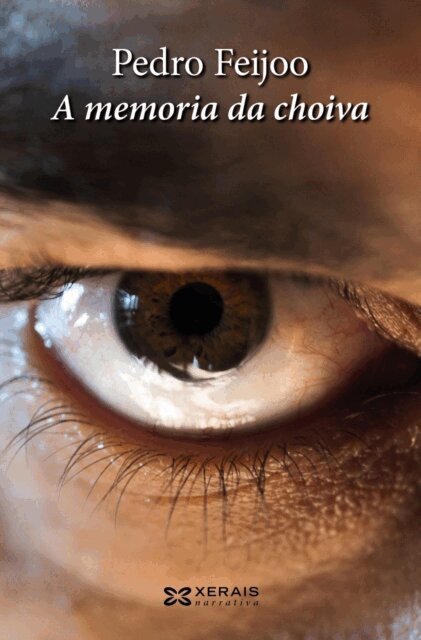 Pedro Feijoo - memoria da choiva, E-bok