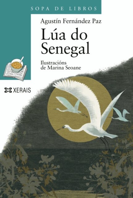 Agustin Fernandez Paz - Lua do Senegal, E-bok