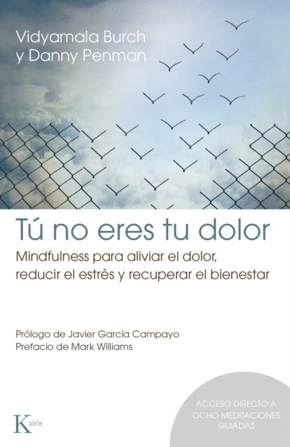 Danny Penman, Vidyamala Burch - Tú no eres tu dolor, E-bok