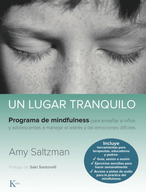 Amy Saltzman - Un lugar tranquilo, E-bok