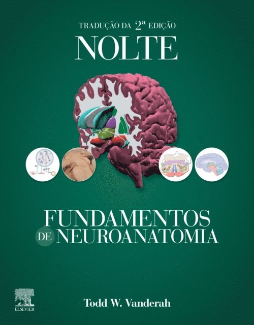 Todd Vanderah - Nolte Fundamentos de Neuroanatomia, E-bok