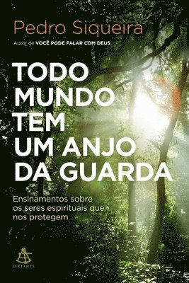 Pedro Siqueira - Todo mundo tem um anjo da guarda, Häftad