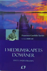 I mediumskapets domäner : livet i andevärlden