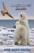 Um Falco no rtico
