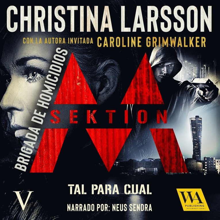 Christina Larsson - Sektion M - Brigada de homicidios V: Tal para cual, Ljudbok