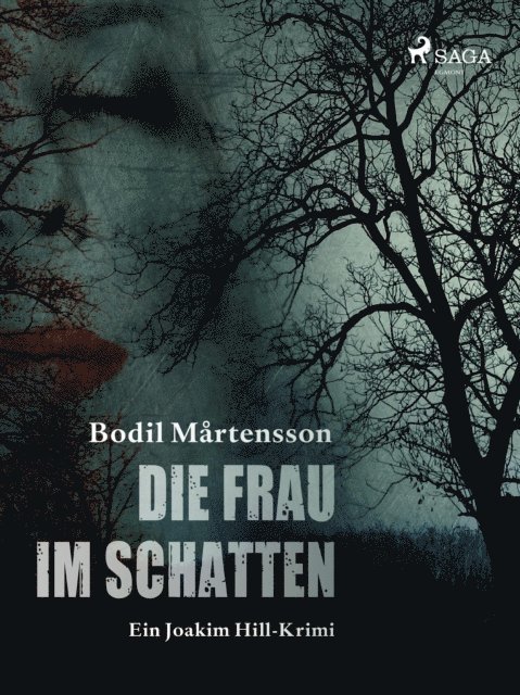 Bodil Martensson - Die Frau im Schatten, E-bok