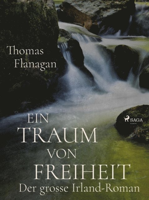 Thomas Flanagan - Ein Traum von Freiheit, E-bok