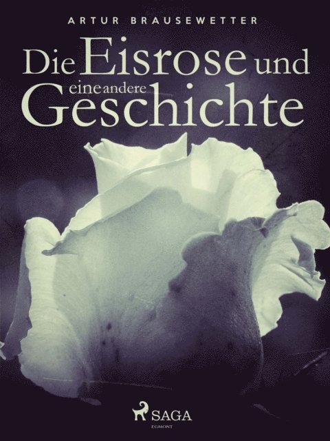 Artur Brausewetter - Die Eisrose und eine andere Geschichte, E-bok