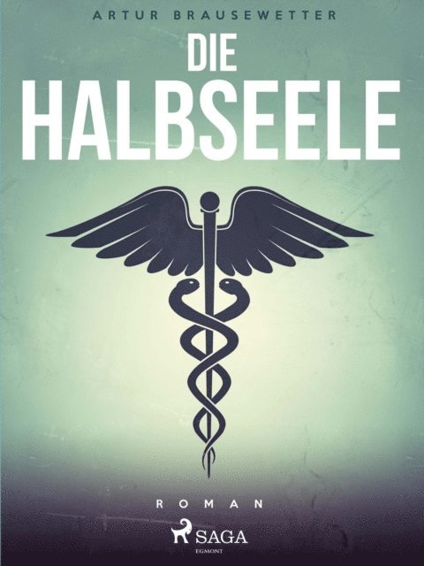 Artur Brausewetter - Die Halbseele, E-bok