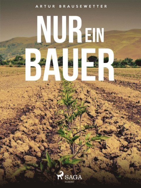 Artur Brausewetter - Nur ein Bauer, E-bok