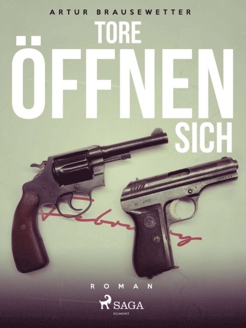 Artur Brausewetter - Tore öffnen sich, E-bok