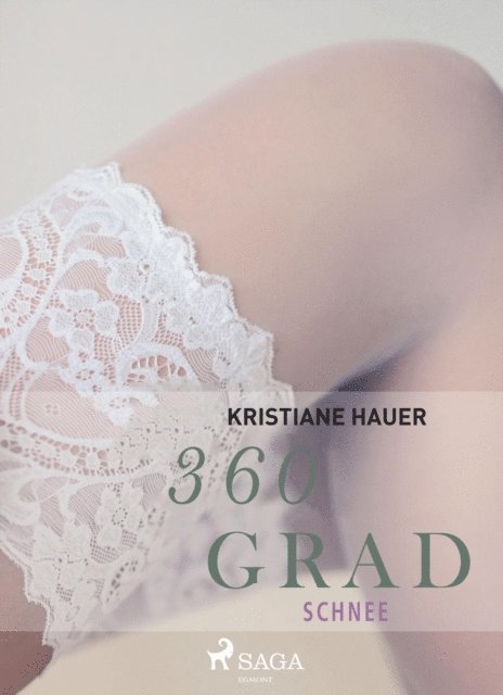 Kristiane Hauer - 360 Grad - Schnee (Erotische Geschichten, Band 2), E-bok