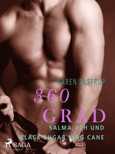 Karen Fastrup - 360 Grad - Salma, ich und Black Sugar King Cane, E-bok