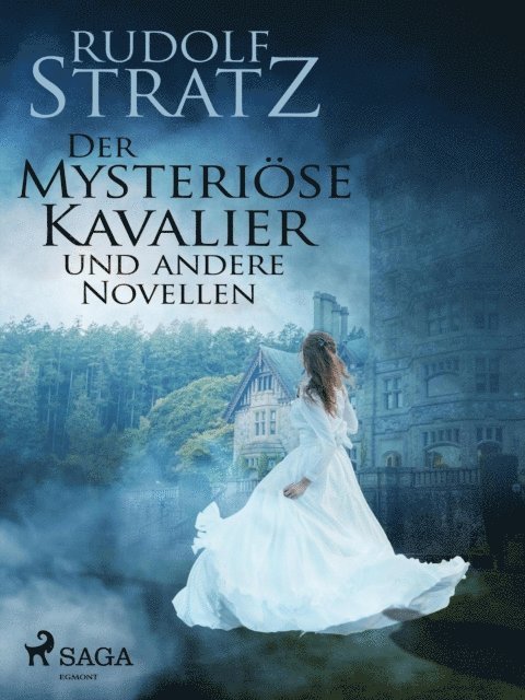 Der mysteriöse Kavalier und andere Novellen
