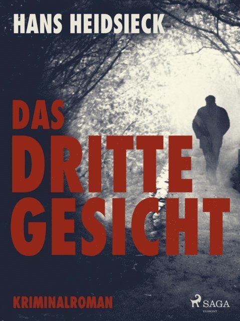 Hans Heidsieck - Das dritte Gesicht, E-bok