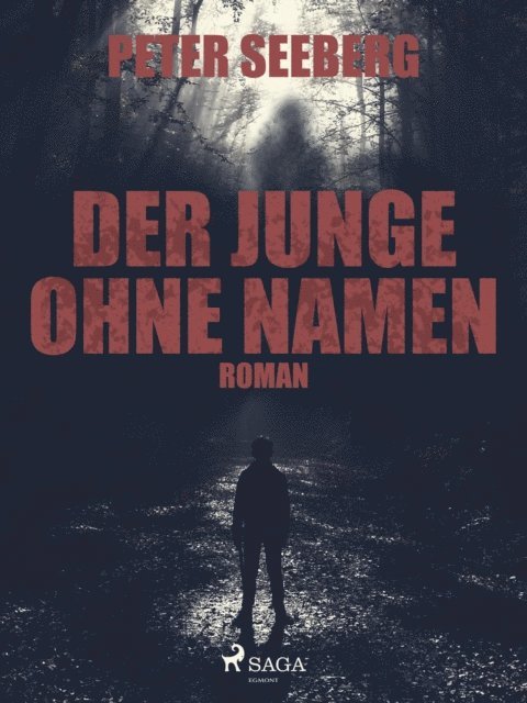 Peter Seeberg - Der Junge ohne Namen, E-bok