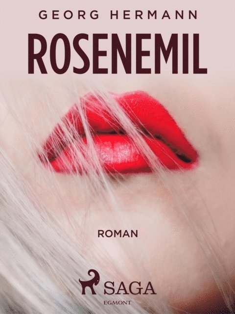 Georg Hermann - Rosenemil, E-bok
