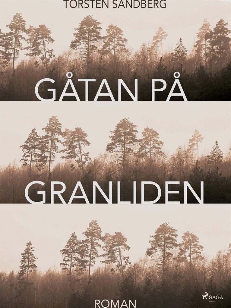 Torsten Sandberg - Gåtan på Granliden, E-bok