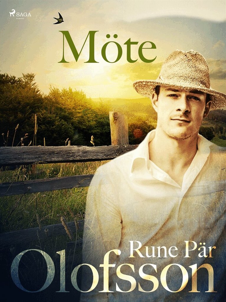 Rune Pär Olofsson - Möte, E-bok