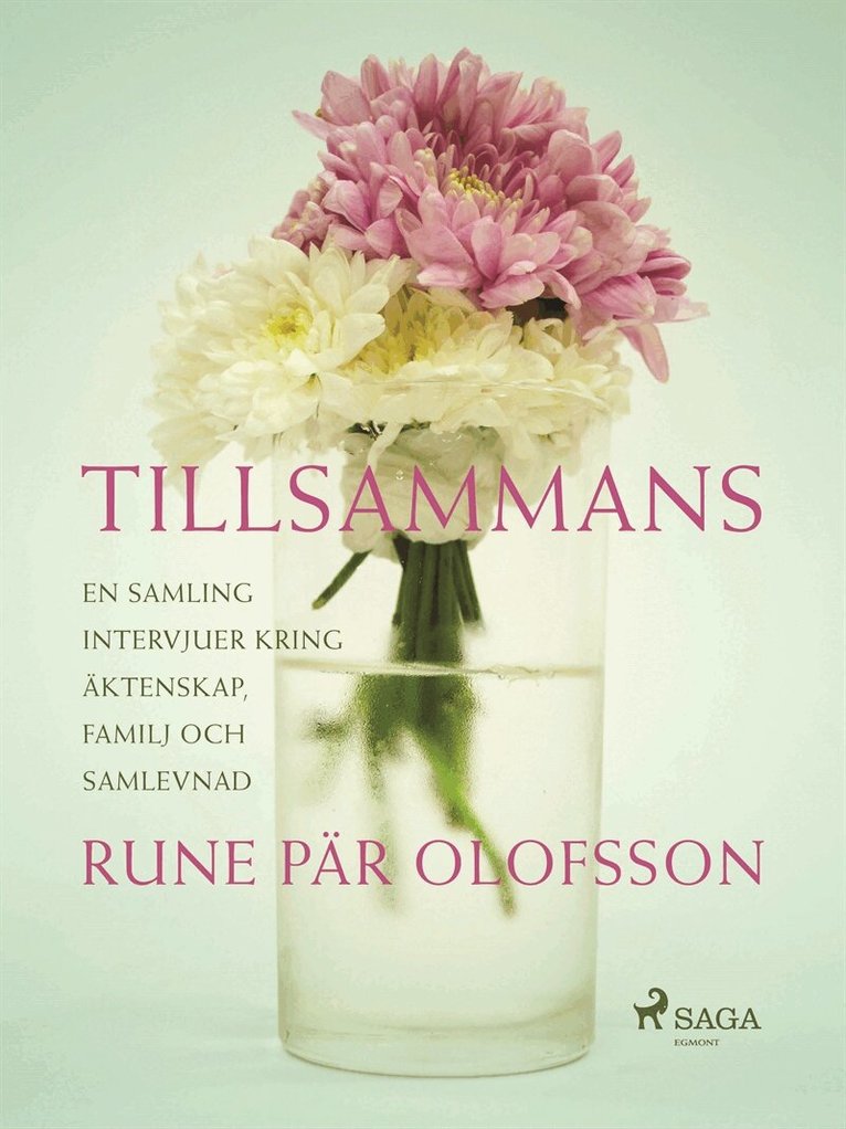 Rune Pär Olofsson - Tillsammans : en samling intervjuer kring äktenskap, familj och samlevnad, E-bok