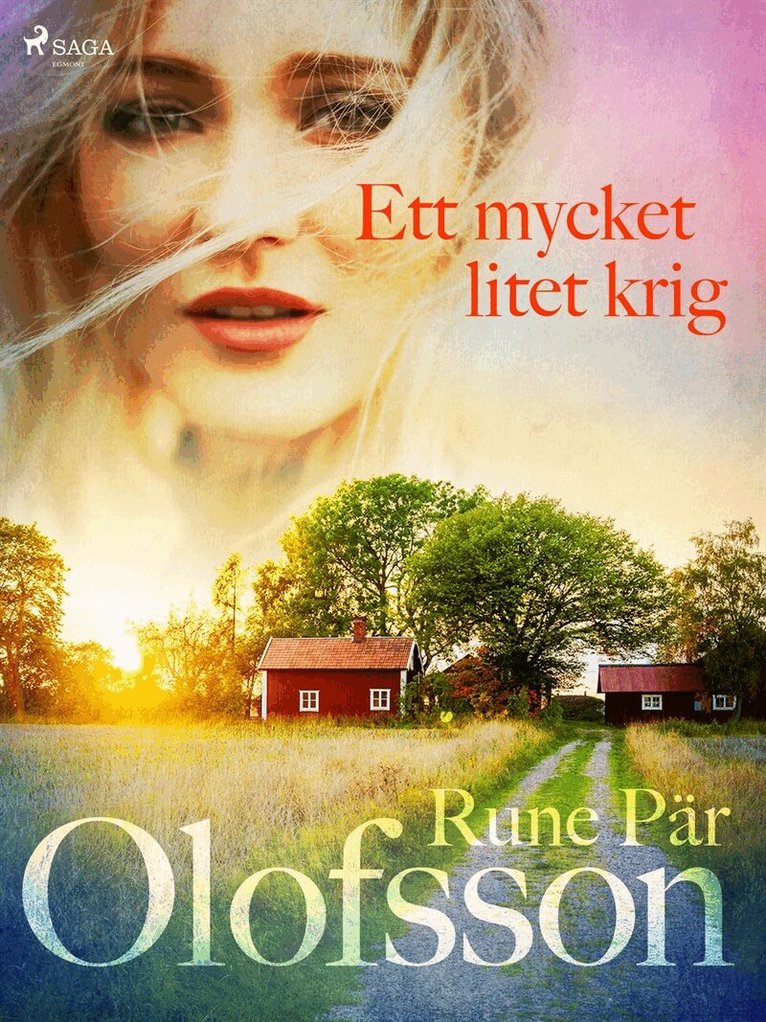 Rune Pär Olofsson - Ett mycket litet krig, E-bok