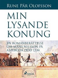 Min lysande konung : en romanberättelse om Måns Nilsson på Aspeboda död 1534