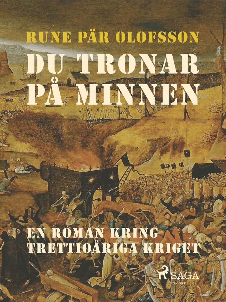 Rune Pär Olofsson - Du tronar på minnen : en roman kring Trettioåriga kriget, E-bok