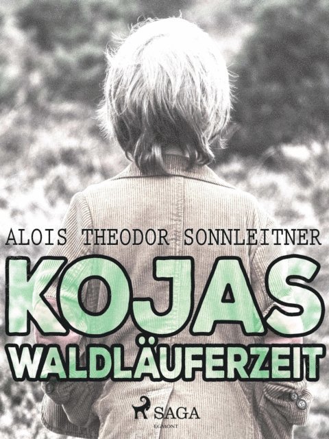 Alois Theodor Sonnleitner - Kojas Waldläuferzeit, E-bok