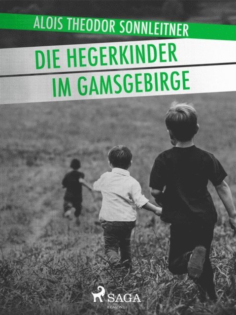 Alois Theodor Sonnleitner - Die Hegerkinder im Gamsgebirge, E-bok
