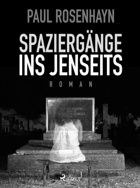 Paul Rosenhayn - Spaziergänge ins Jenseits, E-bok
