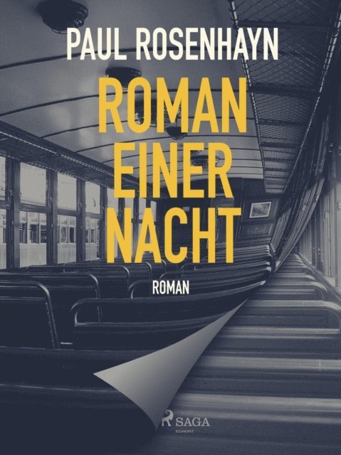 Paul Rosenhayn - Roman einer Nacht, E-bok