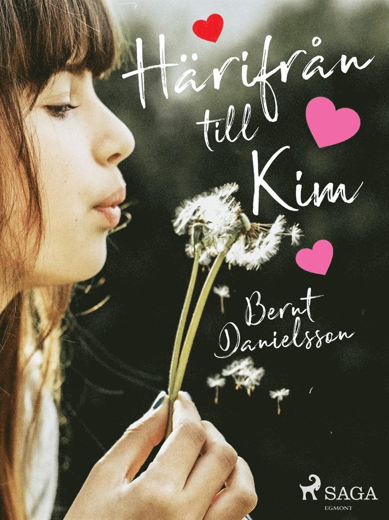 Bernt Danielsson - Härifrån till Kim, E-bok