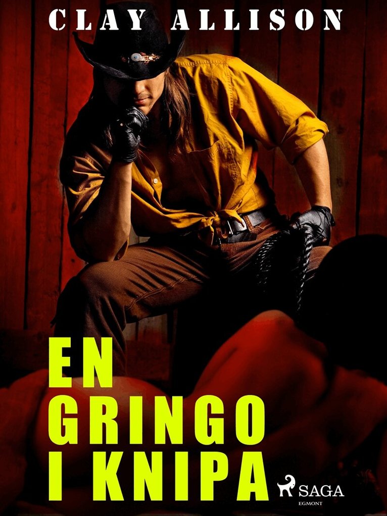 Clay Allison, William Marvin Jr - En gringo i knipa, E-bok