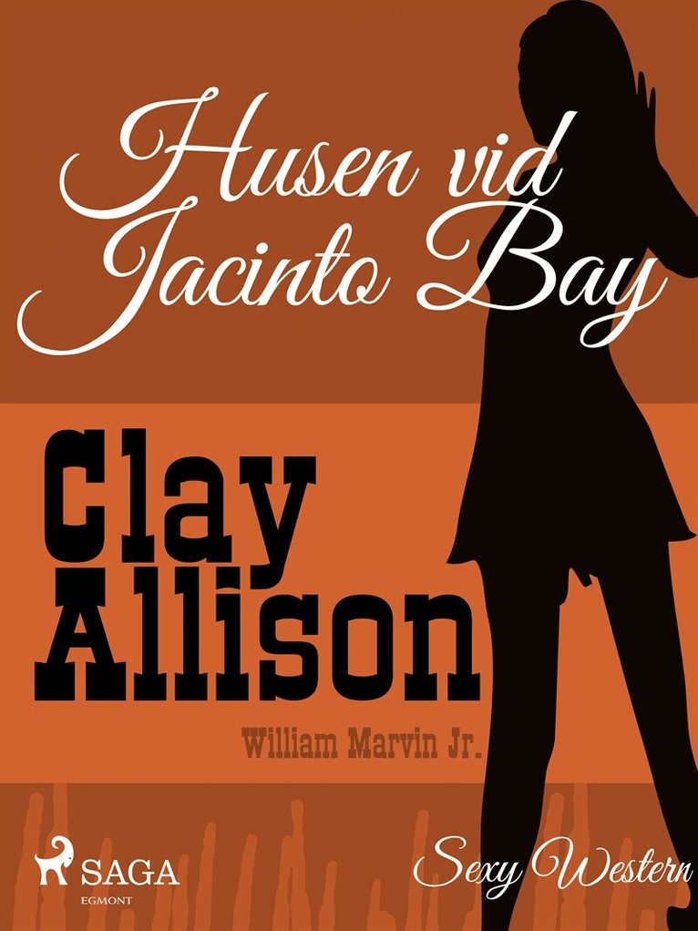 Clay Allison, William Marvin Jr - Husen vid Jacinto Bay, E-bok