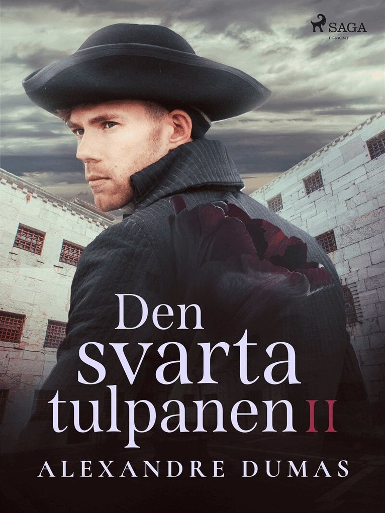 Alexandre Dumas - Den svarta tulpanen II, E-bok
