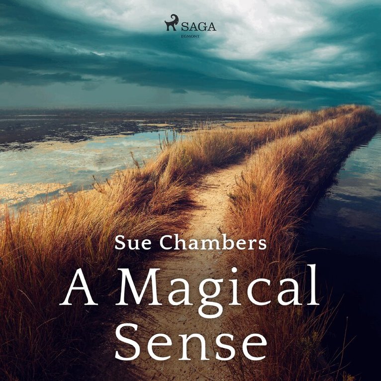 Sue Chambers - A Magical Sense, Ljudbok