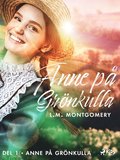 Anne p Grnkulla