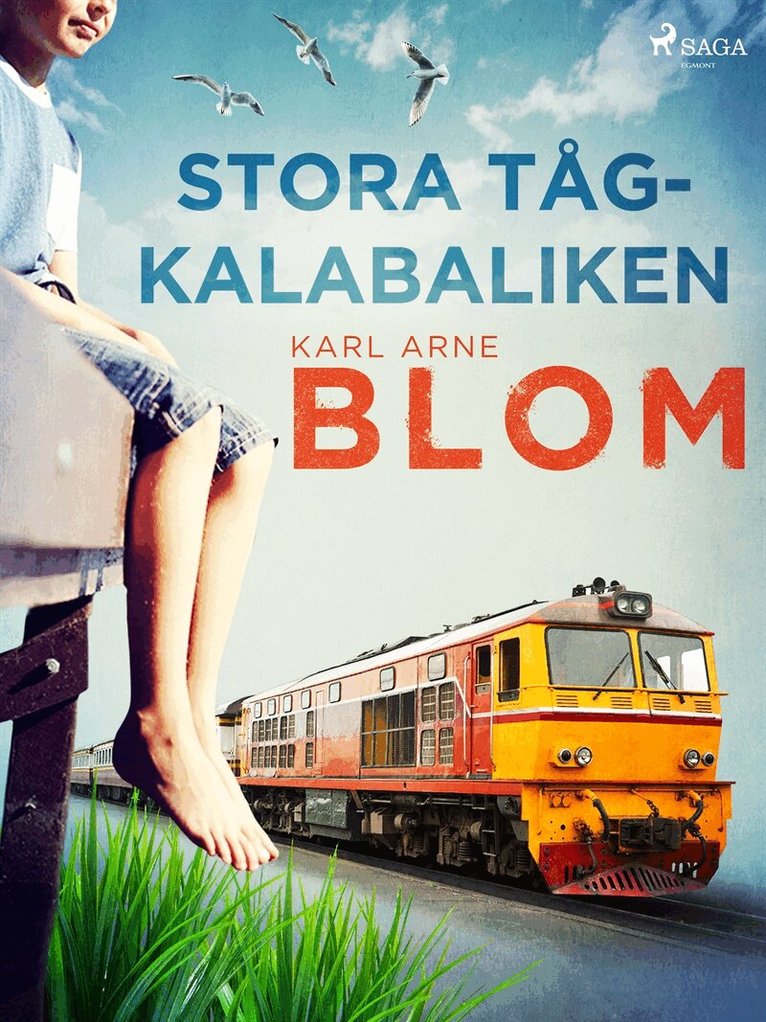 Karl Arne Blom - Stora tågkalabaliken, E-bok