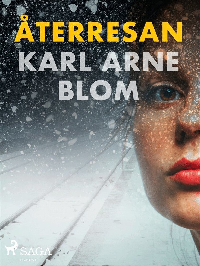 Karl Arne Blom - Återresan, E-bok